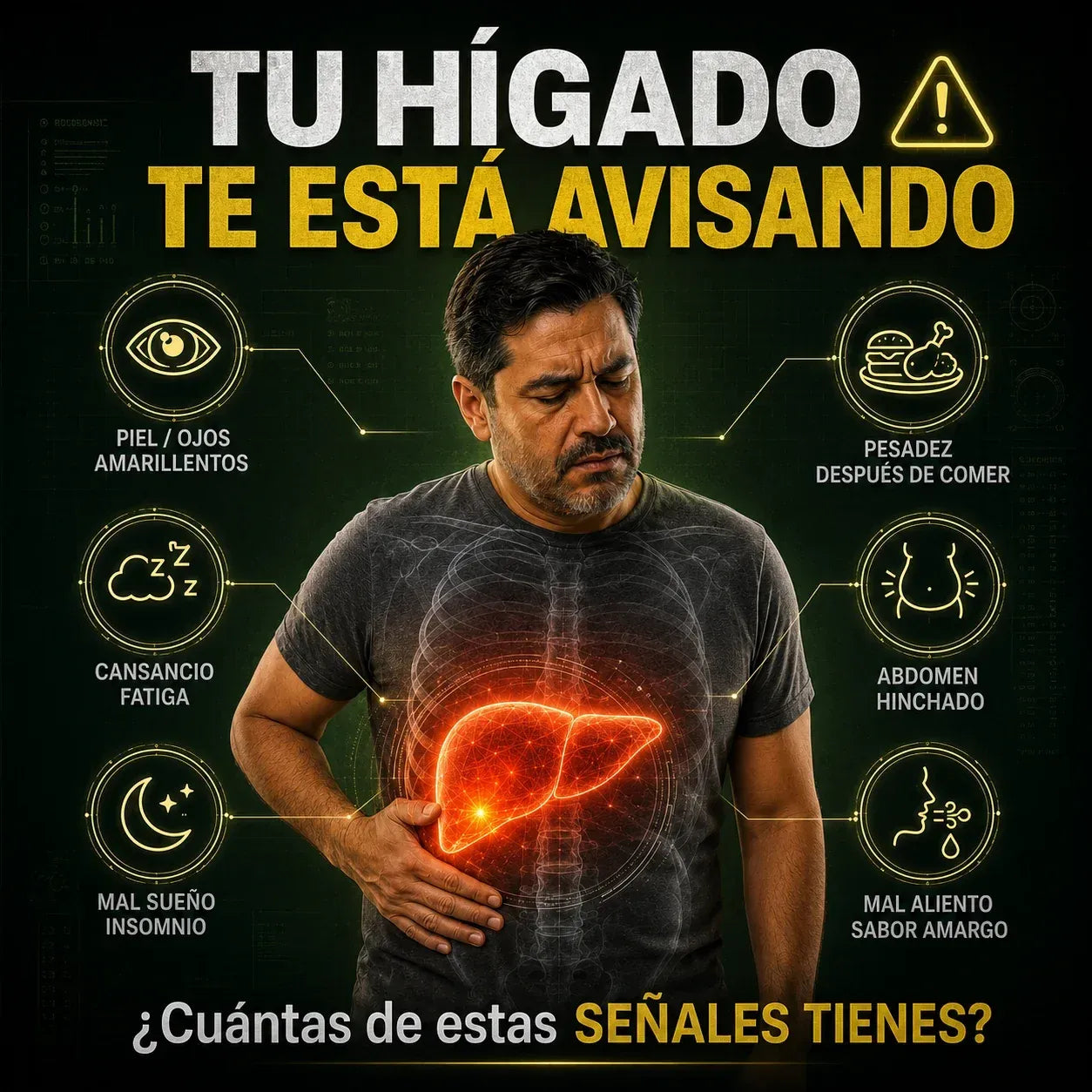 LIVER SUPPORT